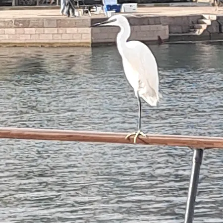 Yacht, 23 Metres, A Quai. *